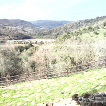 Agriturismo Spinaruccoli, Cicerale — photo 3