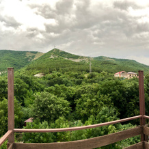 Green Line Guest House, Gelendzhik — photo 5