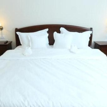 Green Park Boutique Hotel, 福克沙尼 — 照片 4