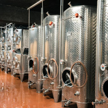 Weingut Lehnert-Veit Gutshotel, 皮斯波特 — 照片 4
