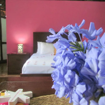 Koox Na Luum Ecohotel, 特科 — 照片 2