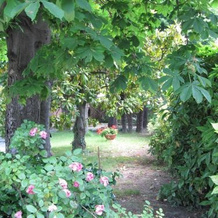 Villa Grilli Di Cantarana, Риволи — фото 4