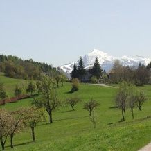 Agriturismo Girasole, 法伊德拉帕加内拉 — 照片 2