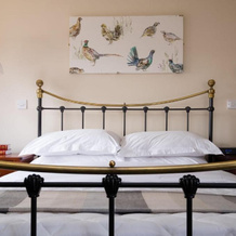The Graig Bed and Breakfast Ludlow, Ludlow — photo 4