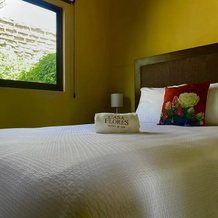 Hotel Casa De Las Flores, 阿特利斯科 — 照片 2