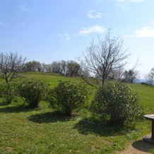 Village de gîtes Les Olivettes, Saint-Dezery — photo 5