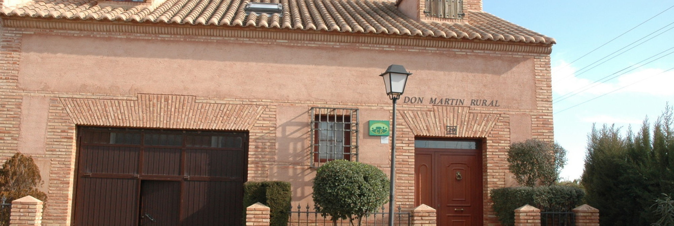 Don Martín Rural & Spa, 阿尔马格罗 — 照片 1