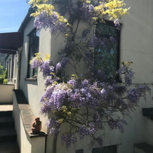 Manor Lodge Guesthouse, 凯恩舍姆 — 照片 5