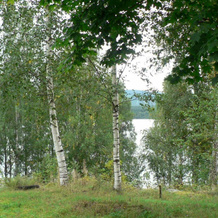 4 Person Holiday Home in Östmark, 托什比 — 照片 2