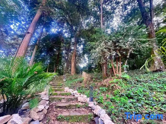Terraces&Forest Wooden Hotel, Shengcun — photo 1