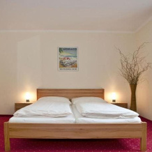Hotel Perchtoldsdorf, Perchtoldsdorf — photo 3