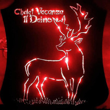 Chalet Vacanze Il Daino, 莱奥内萨 — 照片 2