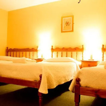 Lough Lannagh Lodge B&B, 卡斯尔巴 — 照片 3