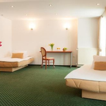 B&B Vila Otočec, Ново Место — фото 5