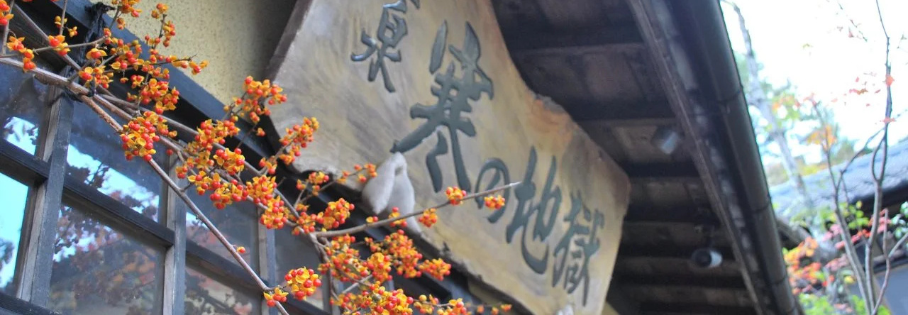 Kannojigoku Ryokan, Коконоэ — фото 1