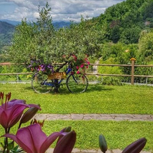 Relax Nella Natura, Болано — фото 3
