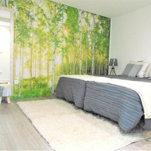 House With 3 Bedrooms in Salzedas, With Wonderful Mountain View and Furnished Garden Near the Beach, 萨尔泽达什 — 照片 5