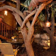 Tree House Chalets Shale, 克法尔弗拉迪姆 — 照片 3