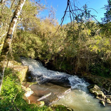 Villaggio dos Vinhedos, 本图贡萨尔维斯 — 照片 2