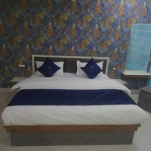 Holidays Luxury Hotel & Resort, Datia — photo 5