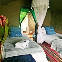 Chiefs - Namaqua Flower Camps, Kamieskroon — photo 3