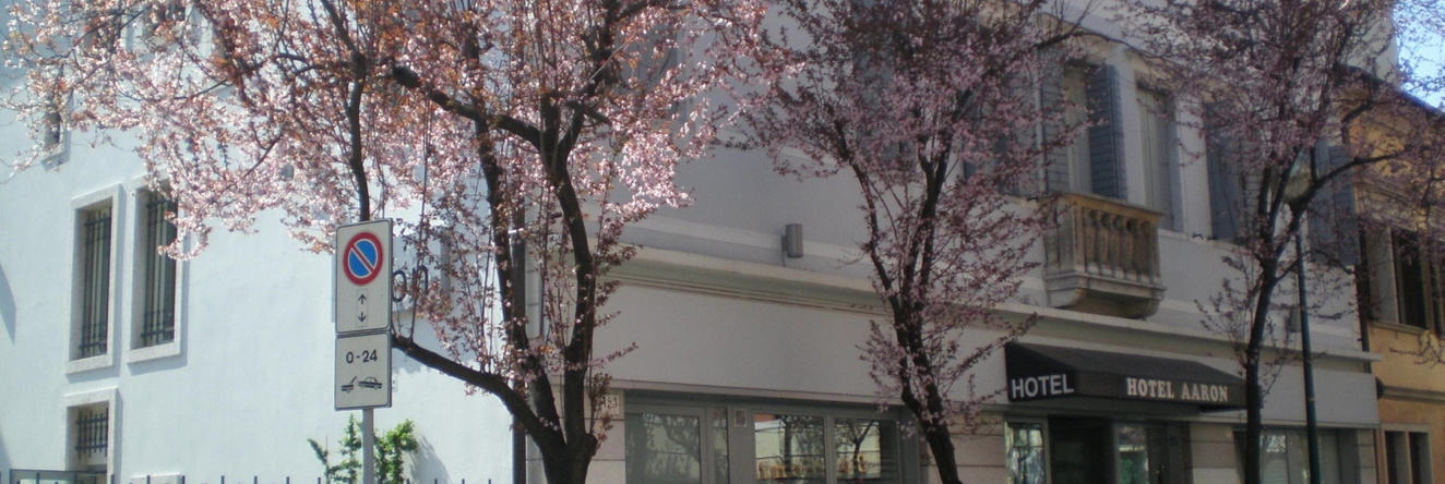 Hotel Aaron, Venice — photo 1