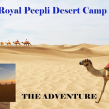 Royal Desert Safari Resort And Camp, Покхран — фото 2