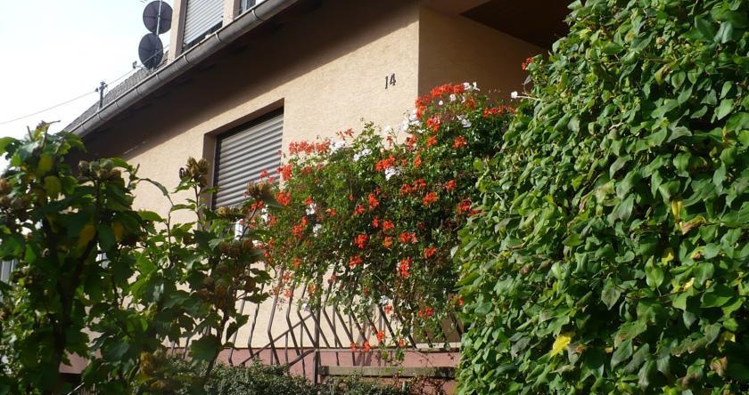 Gîte Les perles du Vignoble, 本维尔 — 照片 1