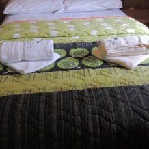 Umbrellabird Lodge- Reserva Buenaventura, 圣罗莎 — 照片 4