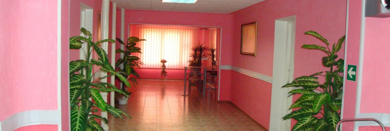 Briz Mini Hotel, 晓尔基诺 — 照片 1