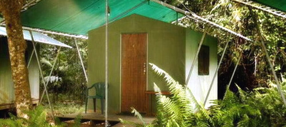 Jungle Lodge, Cape Tribulation — photo 1