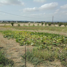 House With 2 Bedrooms in Saint-marcel-sur-aude, With Furnished Garden, 圣纳泽尔多德 — 照片 5