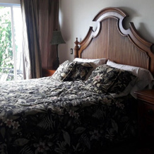 Pura Vida Rental, 蓬塔莱奥纳 — 照片 2