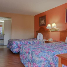 Lakeview Inn, Кингстон — 照片 3