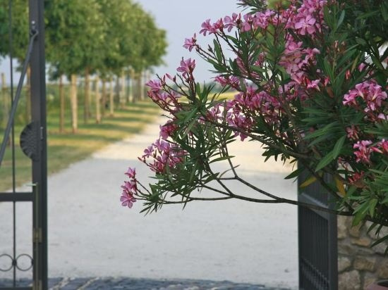 Gutshof Rebblte, Gau-Odernheim — photo 1