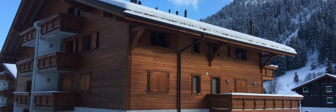 Edelweiss B31 - 3 Bedroom Apartment, Morgins — photo 1
