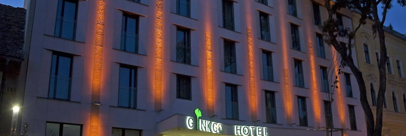 Hotel Ginkgo, Hodmezovasarhely — photo 1