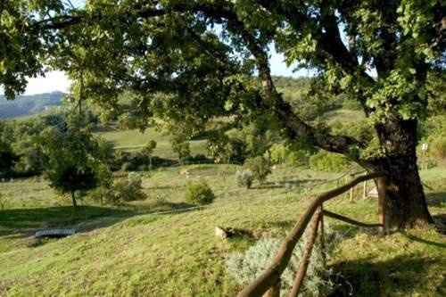 La Meridiana Locanda In Maremma, Монтьери — фото 1