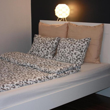 Apartament Bolesławiec, 博莱斯瓦维茨 — 照片 5