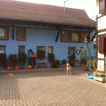 Mélodies d'Alsace, Lipsheim — photo 3
