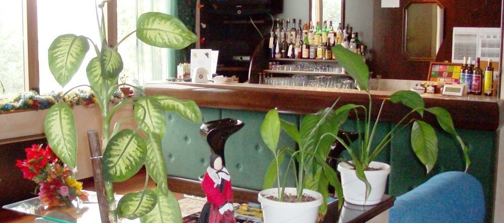 Park Hotel Muggia, 穆贾 — 照片 1