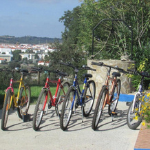 Cerca da Ponte, Almodôvar — photo 5