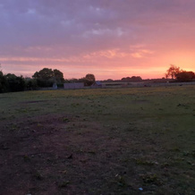 Glamping at the Retreat Wiltshire is Rural Bliss, Malmesbury — photo 5