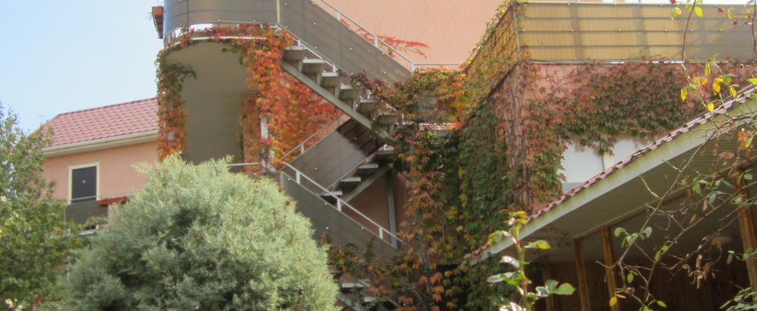 Valenta, Kurortnoe — photo 1