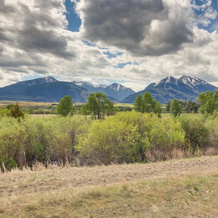 Montana Vacation Rental: 32 Mi To Yellowstone!, Эмигрант — фото 4