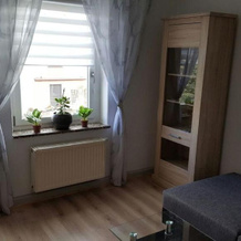 Ferienwohnung "Am Vaterlandsgrubenweg", 埃尔施尼茨 — 照片 3