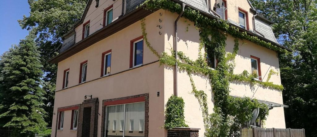 Attic Oelsnitz am Hegebach mit Netflix und Parkplatz Self Check-in, 埃尔施尼茨 — 照片 1