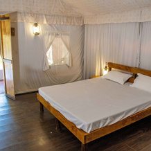 Greetoe Camp Panna, Панна — фото 3