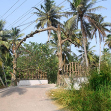 Munroe Island Lake Resorts, 芒罗岛 — 照片 4