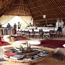 H12 Kipalo Hills, Tsavo — photo 4